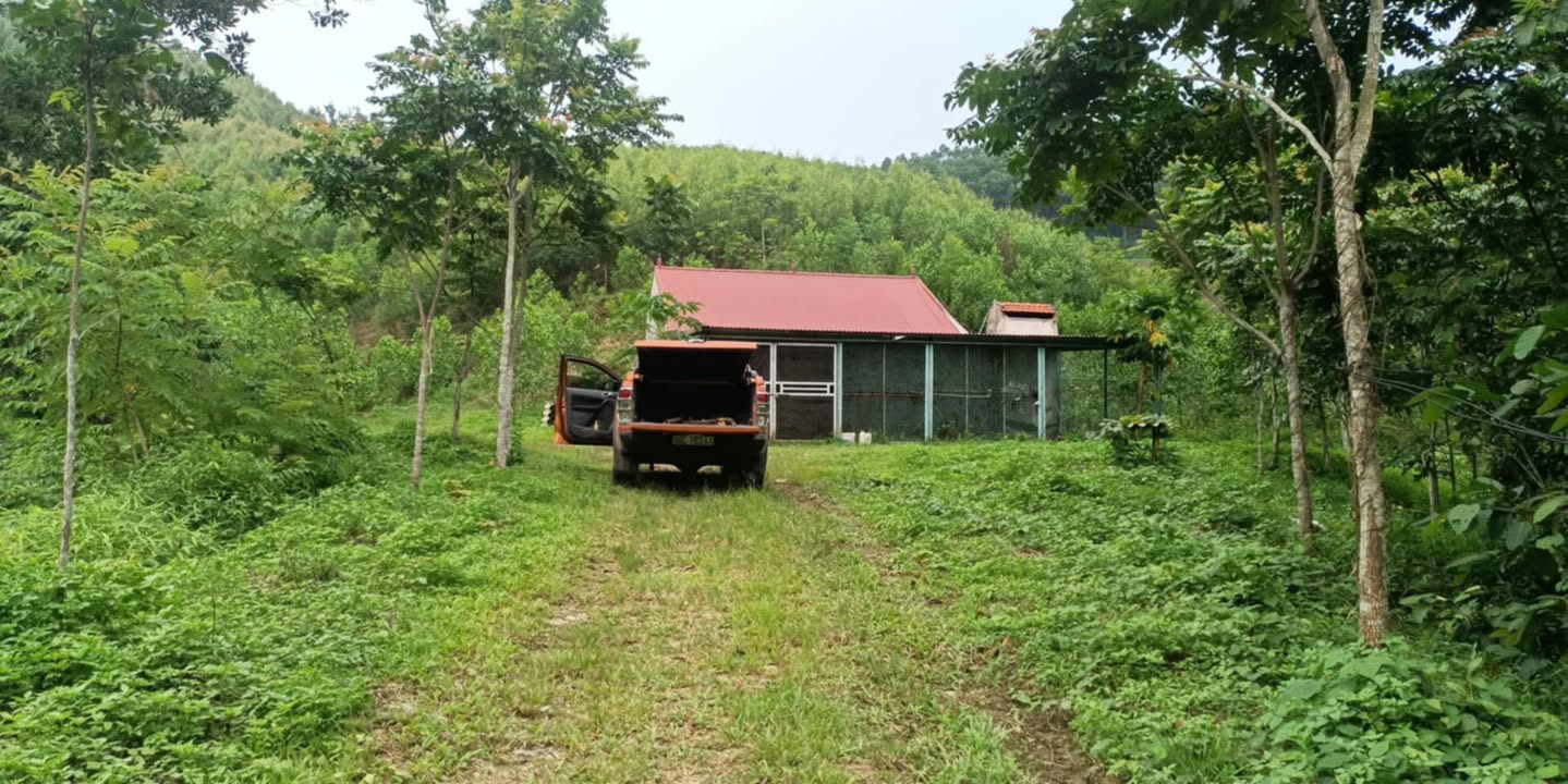 Đất RSX tại Tam Tiến - Bắc Ninh 89973m² - Pháp lý rõ ràng, ô tô vào tận đất!