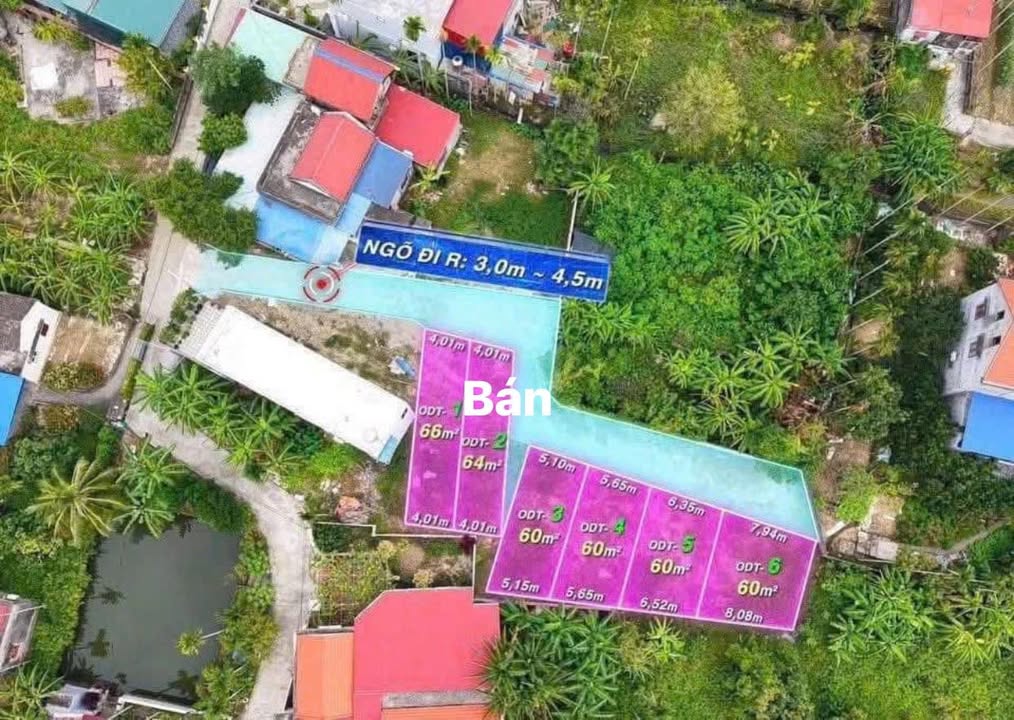 Đất nền Lâm Động, Thủy Nguyên, Hải Phòng 64m² - Cơ hội đầu tư sinh lời cao!