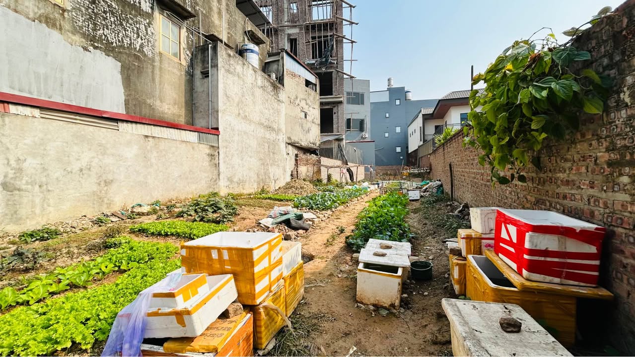 Đất nền Phú Bình gần khu tổ chức sự kiện Việt Phượng 349m² - Cơ hội đầu tư sinh lời!