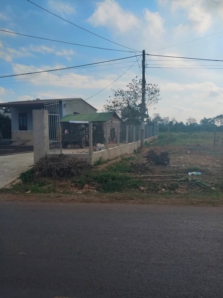 Đất nền Quốc lộ 29, Xã Cuôr Đăng, 552m² - Đầu tư sinh lời cao!