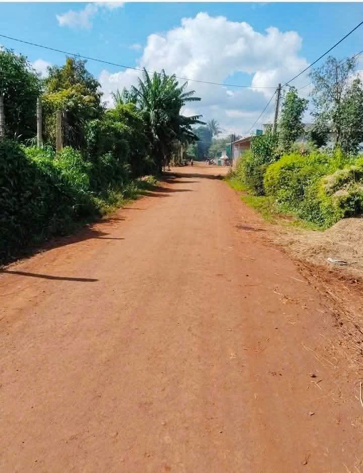 Đất nền Thị trấn Krông Năng, Đắk Lắk 175m² giá 410 triệu - Đường nhựa thuận tiện