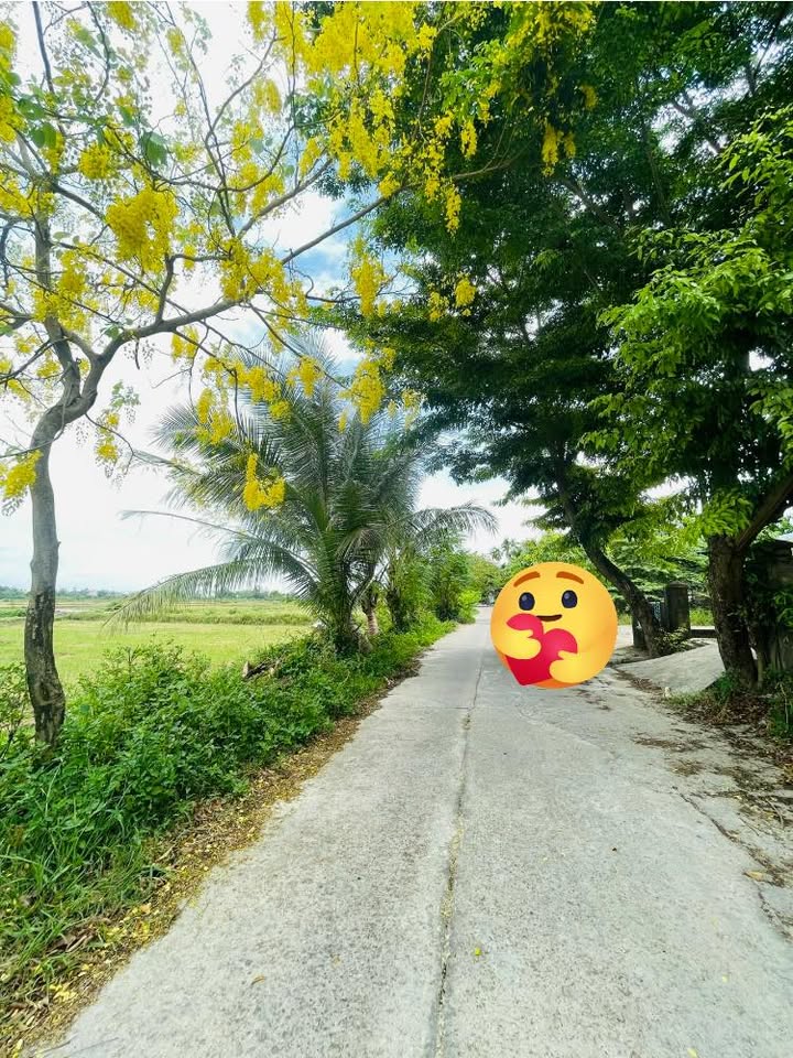 Đất nền Xã Duy Trinh 220m² giá 1.6 tỷ - Đầu tư sinh lời tiềm năng!