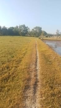 Đất nền Vân Tây, Xã Bình Dương, 251m² chỉ 30 triệu - Cơ hội đầu tư hiếm có!