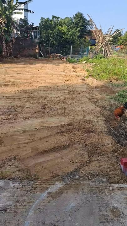 Đất nền chính chủ phường Điện Nam Đông 100m² giá 1.6 tỷ - Vị trí đẹp, pháp lý rõ ràng!