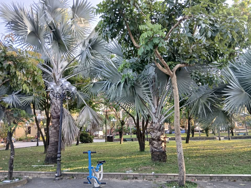 Đất nền 150m² tại Cẩm Thanh, Hội An - Gần sông, hướng Đông