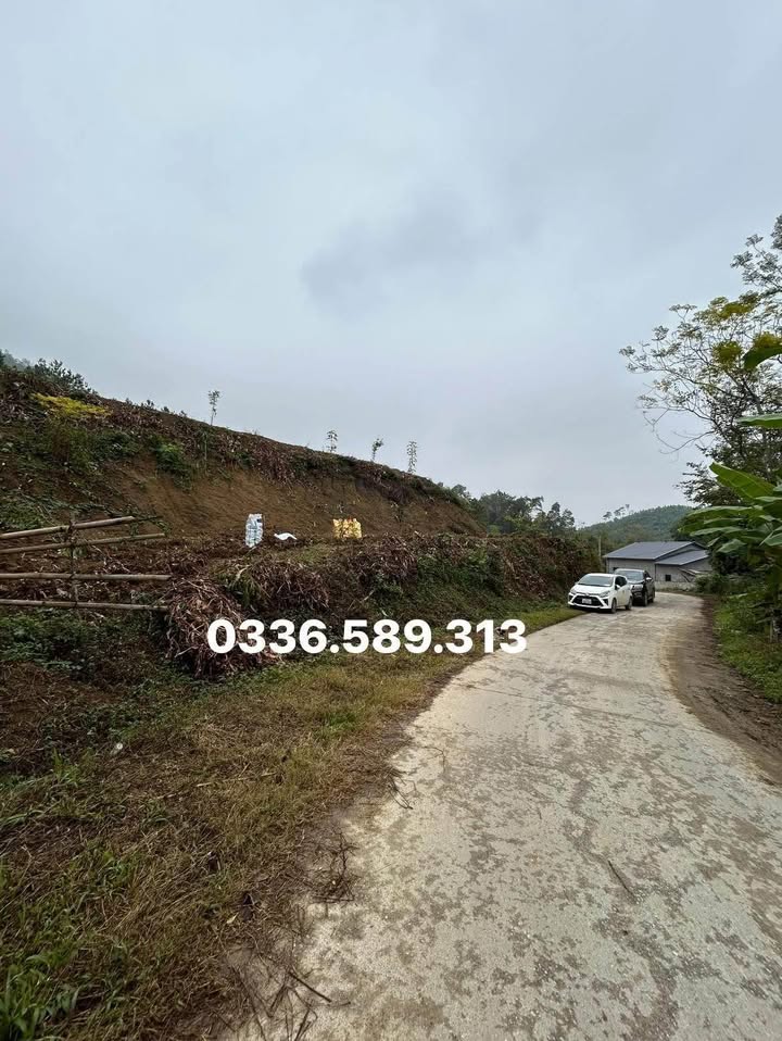 Đất rừng sản xuất Vĩnh Quang 4477m² giá 1 tỷ - Bám mặt đường ô tô tránh