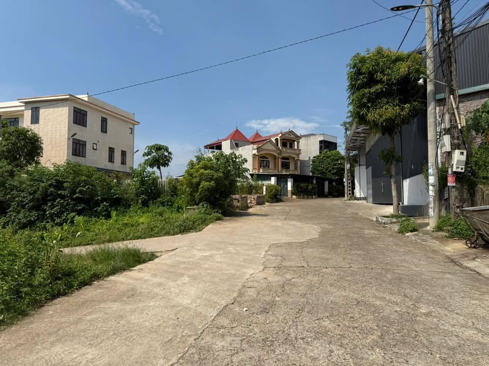 Đất nền chính chủ tại khu 4b, Phường Vân Phú, 81.5m² - Cơ hội đầu tư lý tưởng!