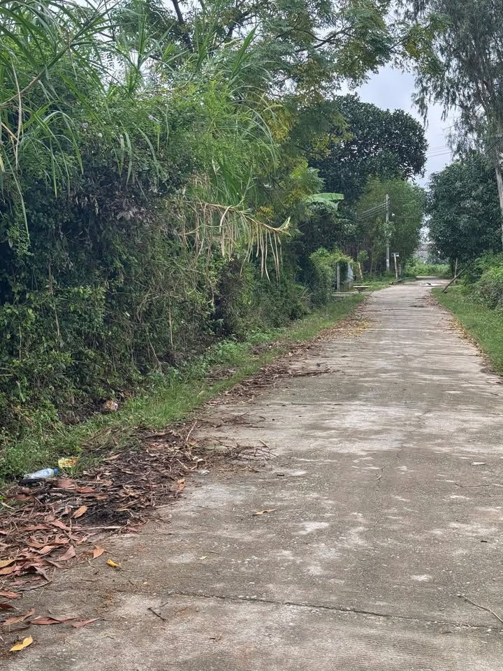 Đất thổ cư 204m² tại Huyện Ba Tơ chỉ từ 100 triệu - Cơ hội đầu tư hấp dẫn!