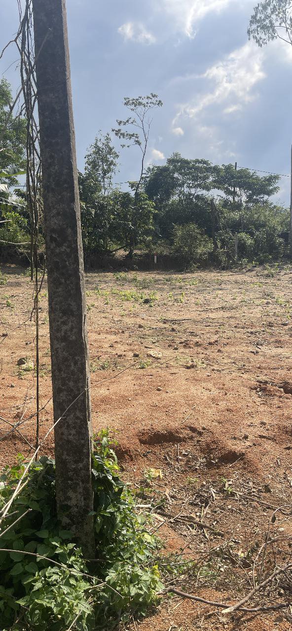 Lô đất Thôn Khánh Thọ, Xã Tam Thành 260m² giá 600 triệu - Mới ra bìa chính chủ!