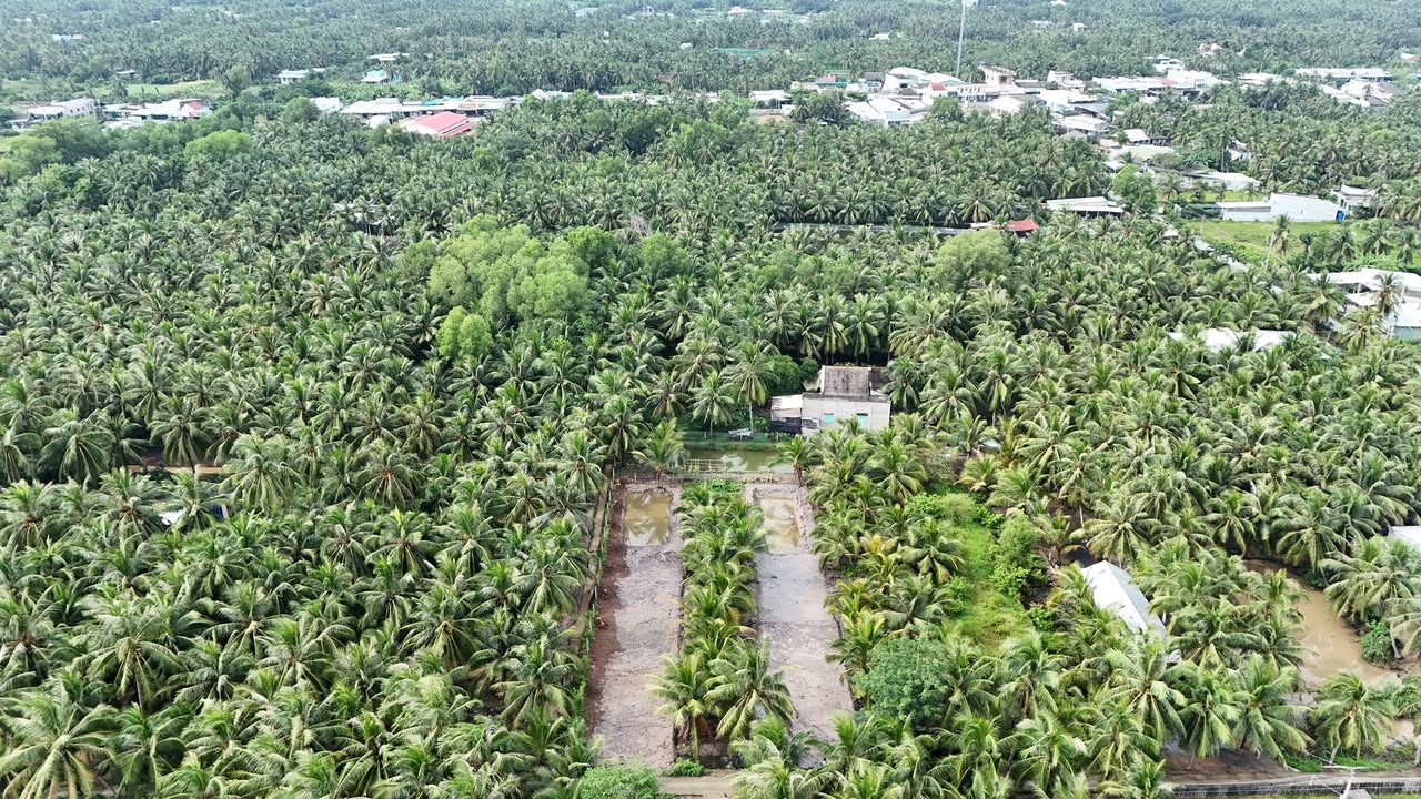 Đất nền 430m² Tân Phú Đông, Đồng Tháp giá 4xx triệu - Mặt tiền đường xe hơi tiện lợi