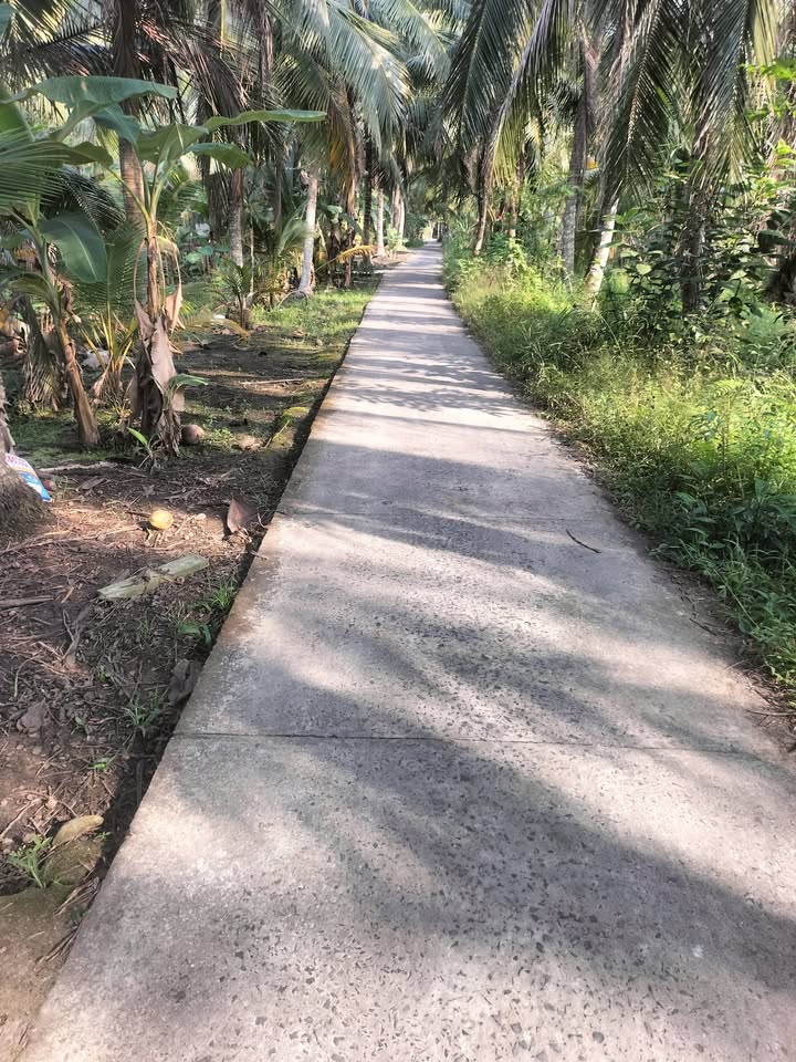 Đất nền xã Bình Trưng 249m² giá 440 triệu - Cơ hội đầu tư không thể bỏ lỡ!