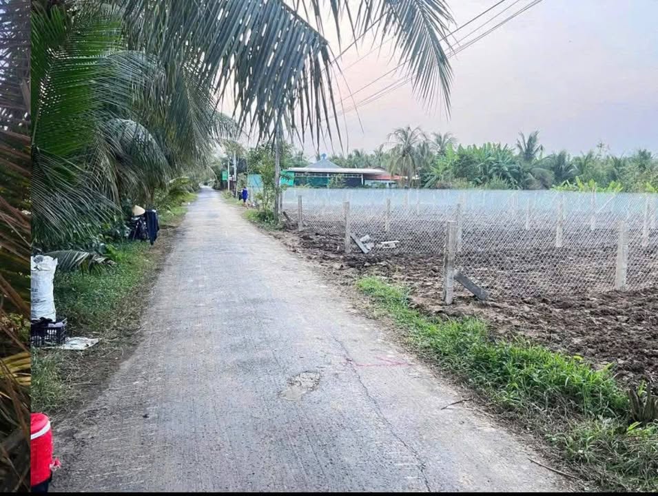 Đất thổ cư 121m² mặt tiền Quốc lộ 50, Giá 450 triệu - Tiềm năng kinh doanh lớn!