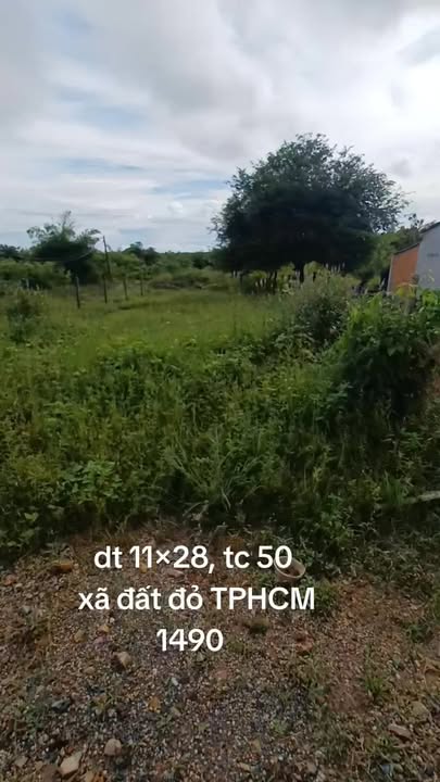 Đất nền Thạnh An, Đất Đỏ 308m² giá 1.49 tỷ - Khu dân cư sầm uất, thuận tiện kinh doanh!