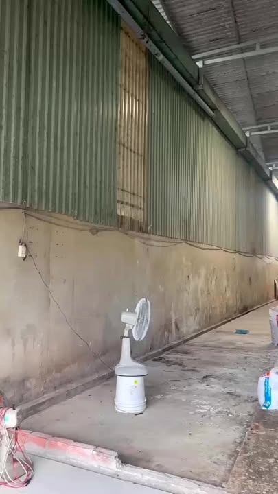Cho thuê xưởng mini tại Thuận An 200m² giá 10 triệu - Đường container thuận tiện!