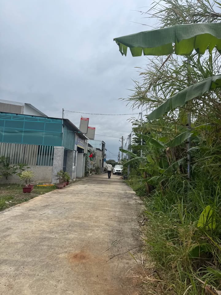 Nhà cấp 4 Đức Trọng Lâm Đồng 290m² giá 1.59 tỷ - Sẵn sàng vào ở ngay!