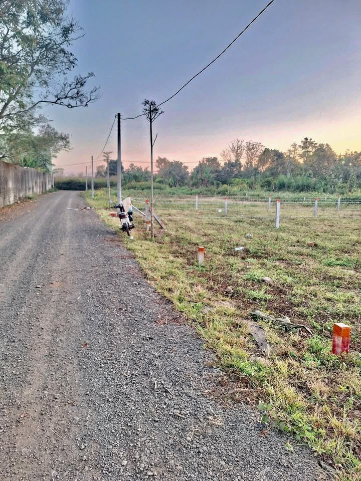 Đất thổ cư 130m² Phường Hội Phú - Giá chỉ 500 triệu, đầu tư sinh lời ngay!