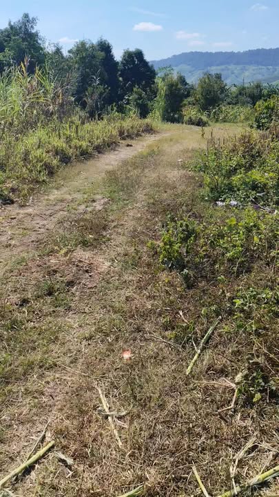 Đất rẫy 2 héc tại xã Krong, huyện KBang, Gia Lai - Sổ đỏ đầy đủ, giá thỏa thuận!
