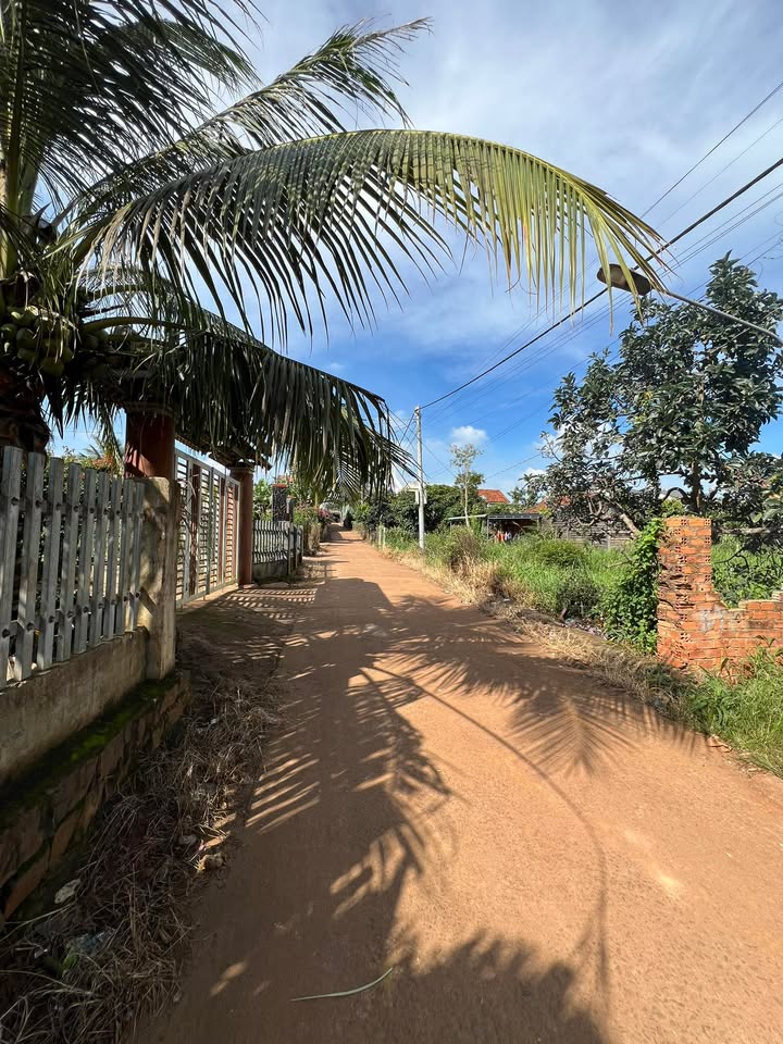 Đất thổ cư 300m² tại Đắk Hà, Đắk Mil - Giá tốt nhất khu vực!