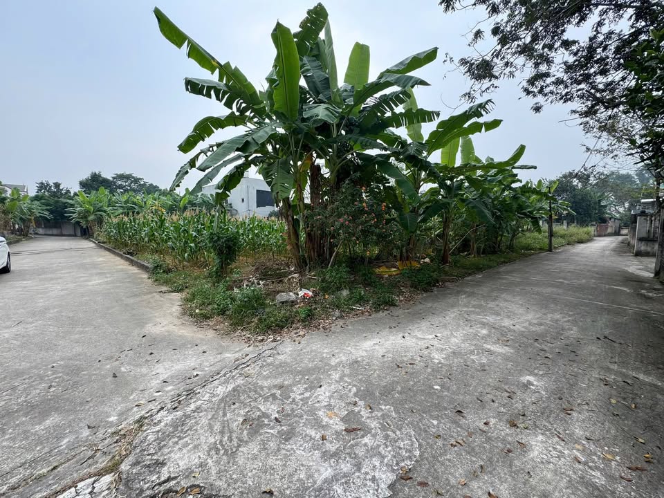 Đất nền lô góc 2 mặt tiền tại Thị trấn Thắng, Bắc Giang 111m² - Giá chỉ 800 triệu