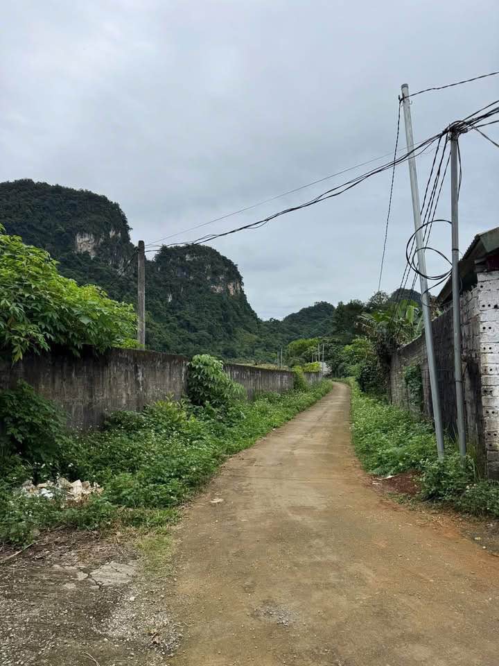 Đất nền mặt đường 100m tại phường Trần Phú, Hà Giang 4800m² - Cơ hội đầu tư hiếm có!