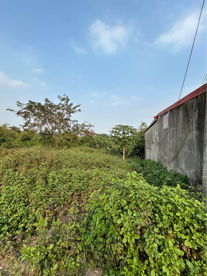 Đất nền Đê Nhật Tựu, Kim Bảng 86m² - Vị trí đẹp, ô tô tránh đỗ!