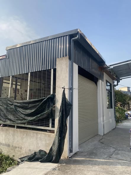 Nhà cấp 4 Huyện An Lão 50m² giá 1.2 tỷ - Tiện ích đầy đủ, an cư lý tưởng!