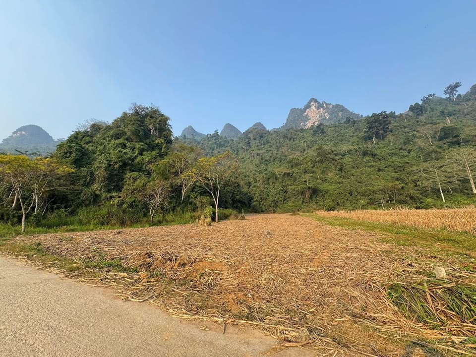 Đất nền xã Phong Quang, huyện Vị Xuyên, 3100m² giá 500 triệu - Cơ hội đầu tư lý tưởng!