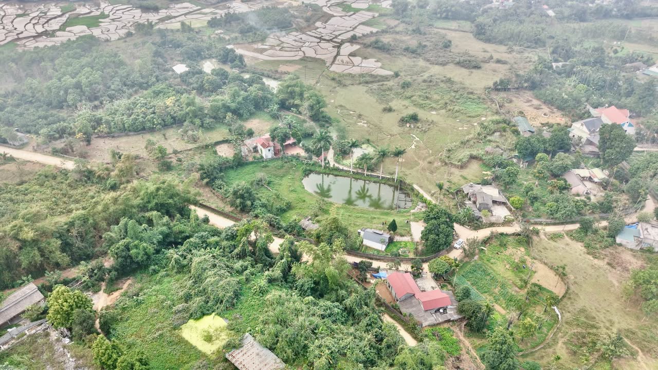 Đất đầu tư Cư Yên 4.000m² giá thỏa thuận - Lô góc 3 mặt tiền vượt trội!