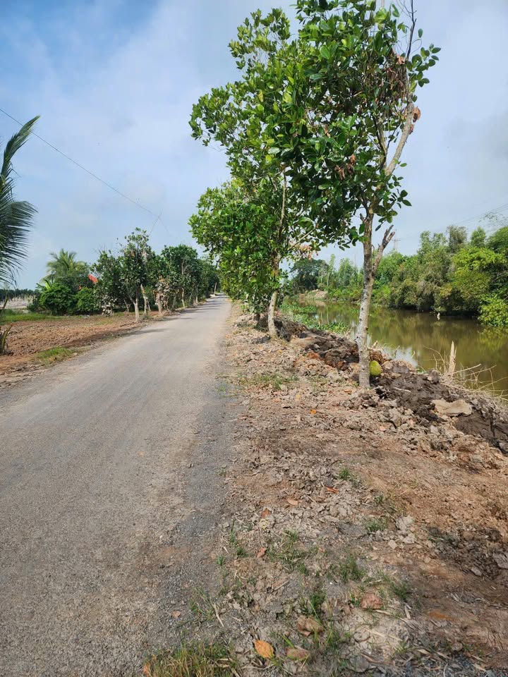 Bán đất nông nghiệp 2100m² mặt tiền đường nhựa 48m tại Tháp Mười - Cơ hội đầu tư tuyệt vời!