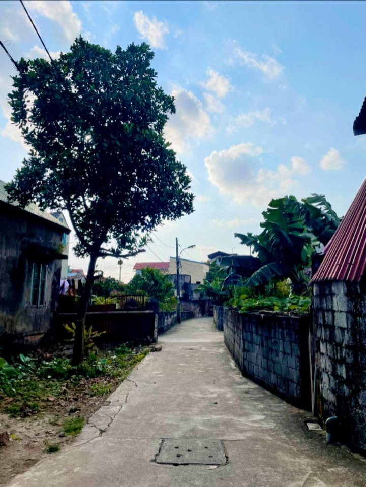 Bán đất Phường Lam Sơn, TP Hưng Yên 86.4m² - Mặt tiền đẹp, giá tốt!