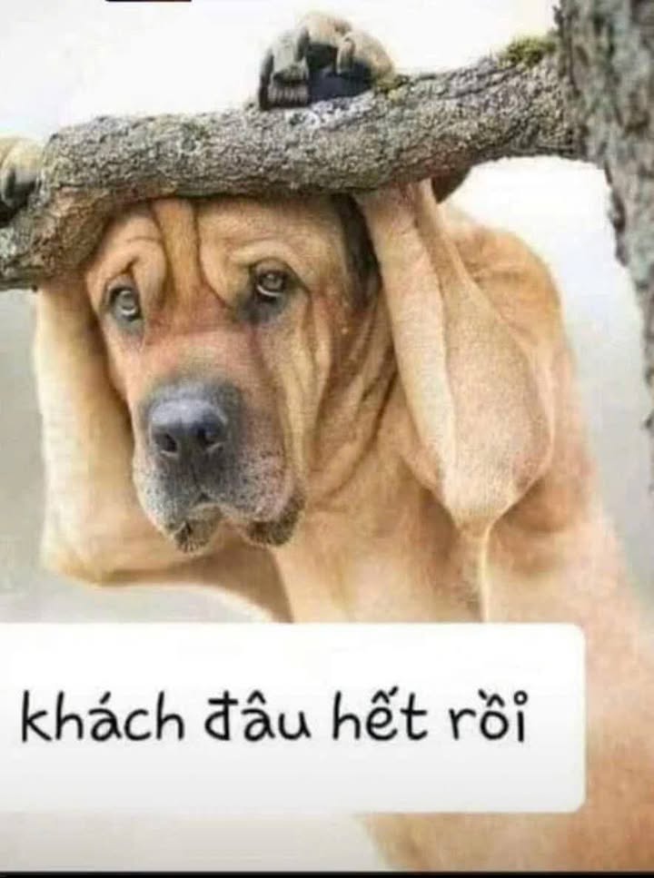 Đất nền Trà Vong, Tân Biên 100m² giá chỉ 179 triệu - Cơ hội đầu tư tuyệt vời!