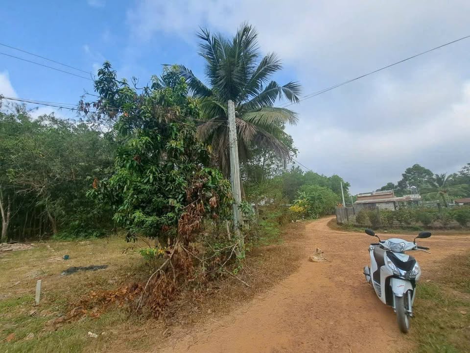 Đất thổ cư 135m² tại Thị trấn Châu Thành, Tây Ninh - Bán gấp 410 triệu!