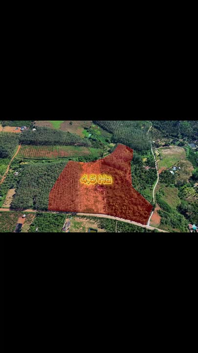 Đất nông nghiệp 4,5ha tại Thôn 7, Ea Nam - Giá 12 tỷ - Lợi thế kinh doanh kho bãi!