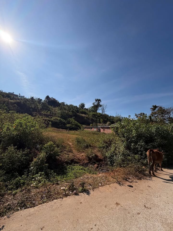 Đất nền hẻm 58 Phạm Văn Đồng, phường Hoa Lư 594m² giá 1.8 tỷ - Đầu tư sinh lời ngay!