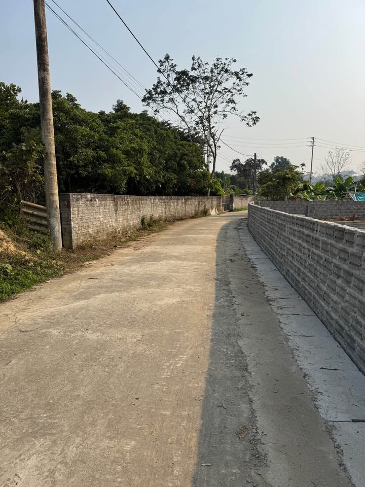 Đất thổ cư 115m² tại Tổ dân phố Trung Môn 2, Tuyên Quang - Giá đầu tư chỉ 5xx triệu!