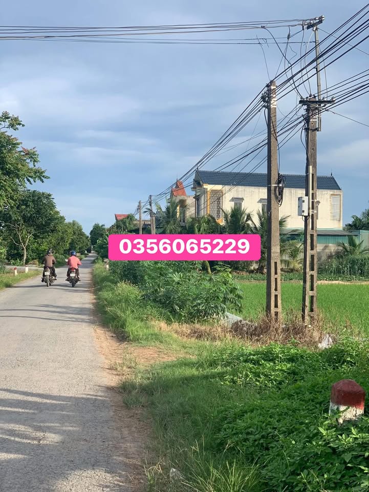 Đất nền Xã Nga An, Huyện Nga Sơn, 100m² - Cơ hội đầu tư tuyệt vời!