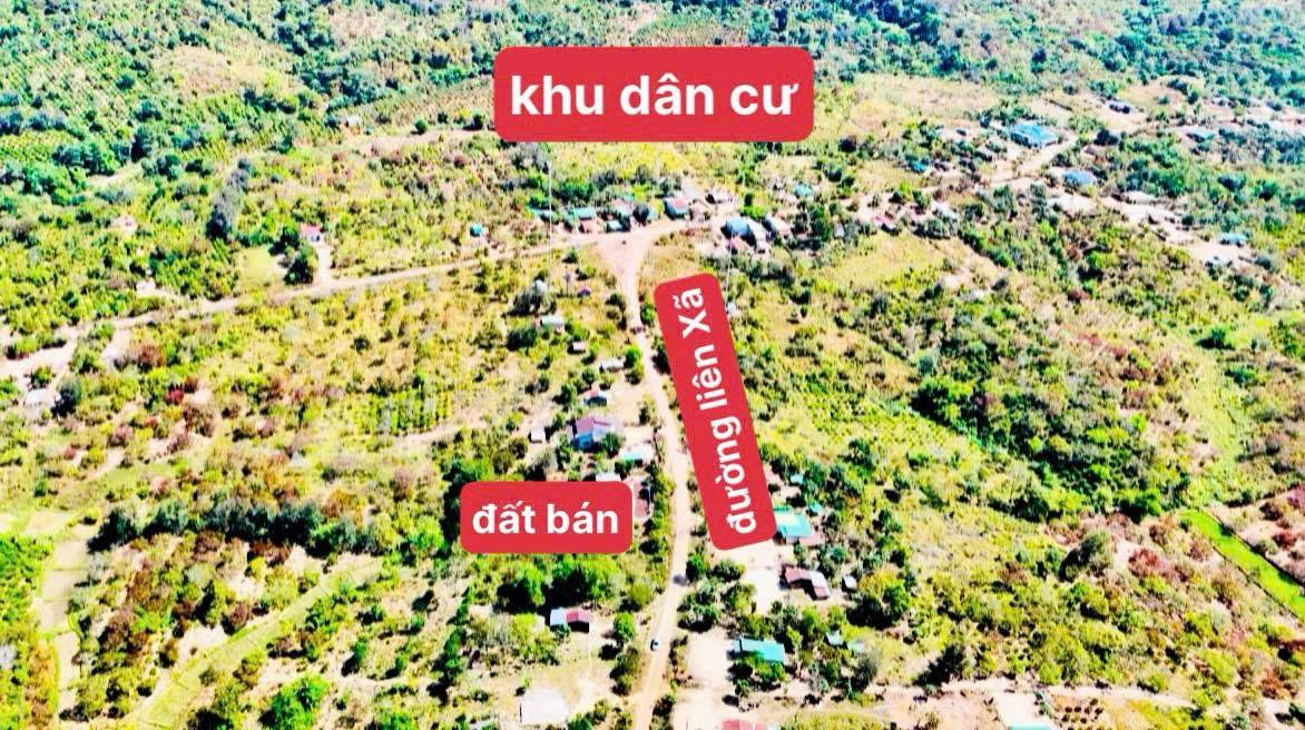 Đất nền 1265m² tại Phường Bình Tân, Buôn Hồ - Giá 800 triệu, mặt đường nhựa!