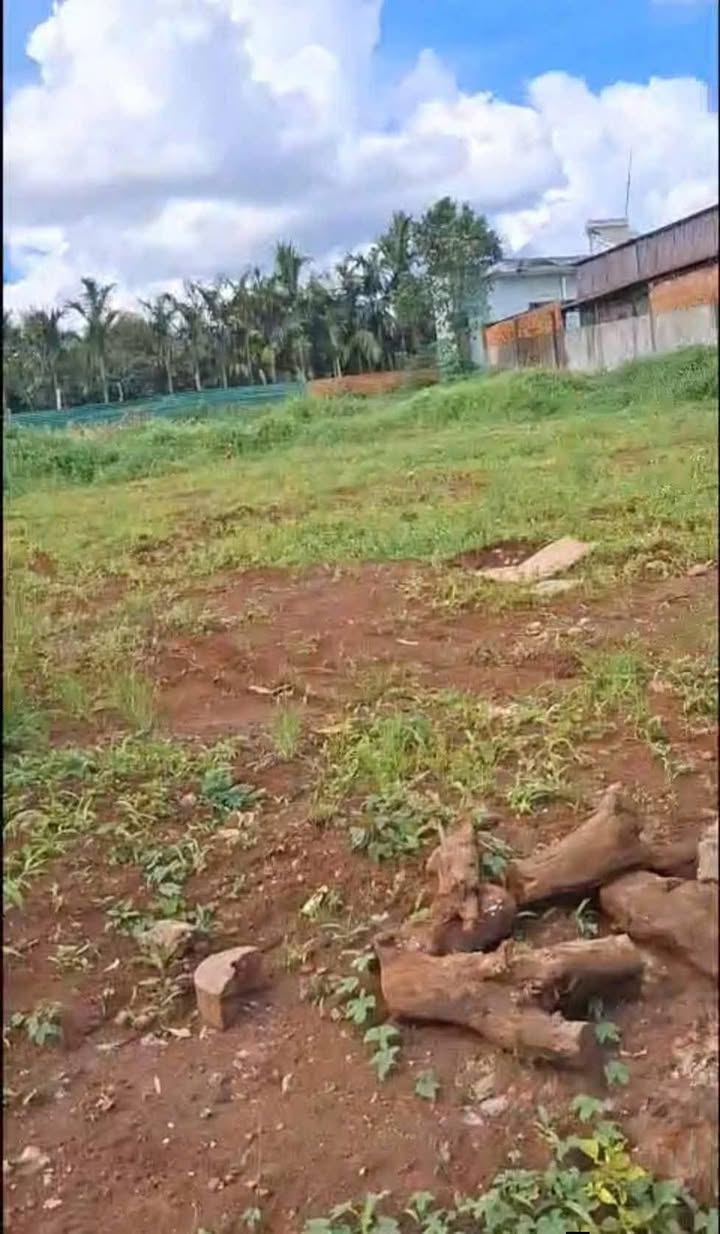 Đất thổ cư 1497m² đường Hồ Xuân Hương - Giá 4.1 tỷ, vị trí đắc địa!