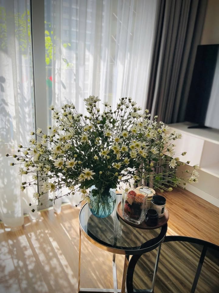 Căn hộ 55m² tại Mễ Trì - Giá chỉ chưa tới 5 tỷ - Cơ hội đầu tư hiếm có!