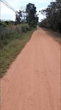 Đất 2 mặt tiền Cư Ni, Ea Kar 1ha giá 2 tỷ - Cơ hội đầu tư hấp dẫn!