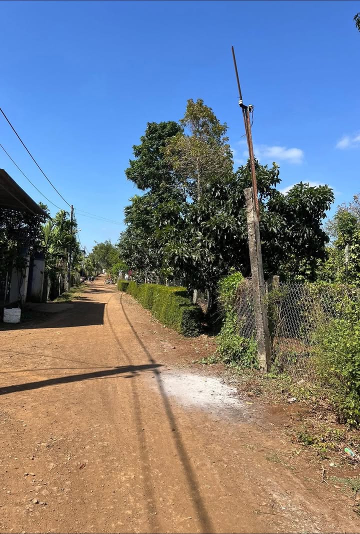 Đất thổ cư Thôn 7 Hòa An 4200m² giá 700 triệu - Cơ hội đầu tư hiếm có!