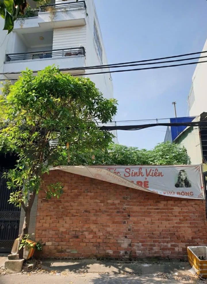 Đất nền Nguyễn Sỹ Sách, Tân Bình 110m² giá 12.7 tỷ - Tiềm năng đầu tư lớn!