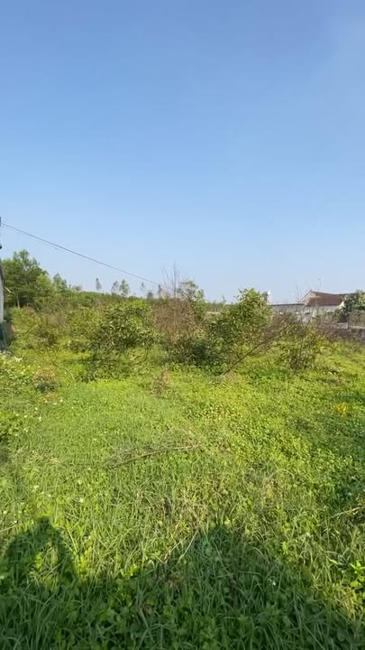 Đất nền Quỳnh Châu 600m² giá 63 tỷ - Tiềm năng đầu tư vượt trội!