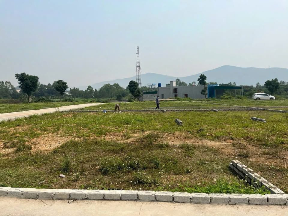 Đất nền Khối Tân Hùng, Phường Quỳnh Thiện 100.3m² giá 9xx triệu - Cơ hội đầu tư tuyệt vời!