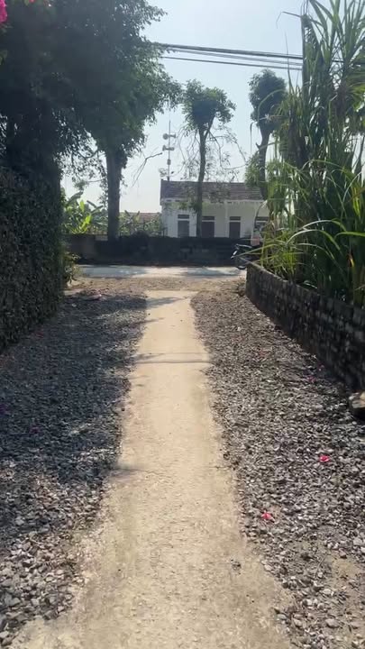 Đất nền Xóm 8, Xã Quỳnh Lâm 172m² giá chỉ vài trăm triệu - Cơ hội đầu tư tuyệt vời!