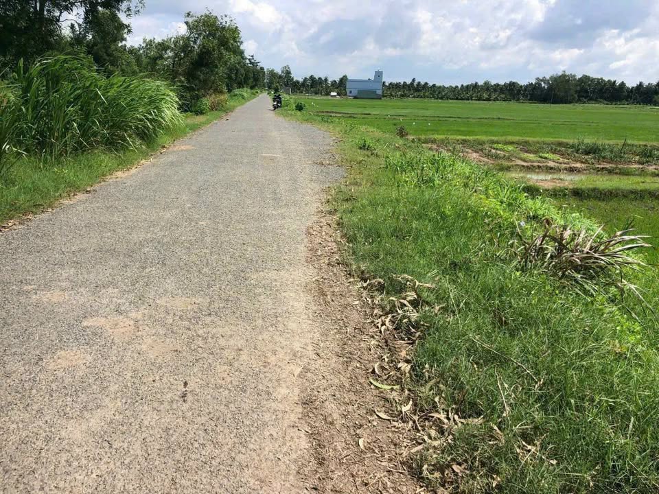 Đất nông nghiệp 19.337m² tại Ấp Hương Phụ A, Châu Thành - Giá 210 triệu, cơ hội đầu tư lớn!