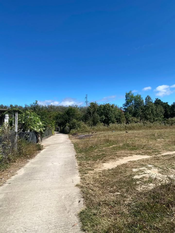 Đất nền đường bê tông xã Đắk Blà 222m² giá chỉ 300 triệu - Cơ hội đầu tư tuyệt vời!