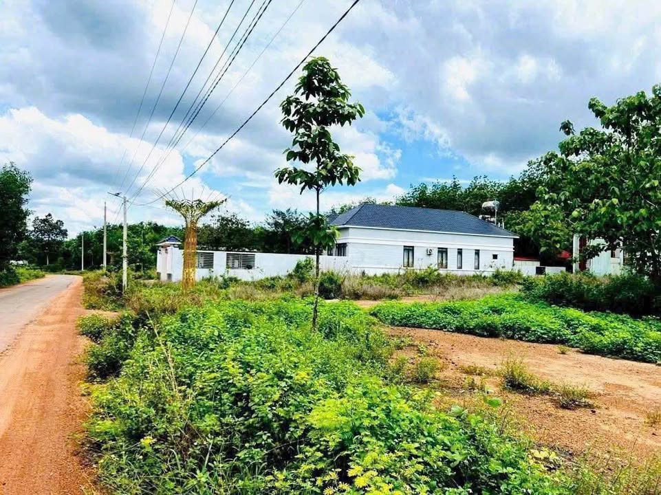 Đất nền Phường Tân Thiện, Đồng Xoài 200m² giá chỉ 250 triệu - Cơ hội đầu tư tuyệt vời!