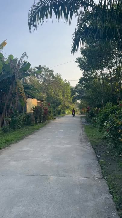 Đất nền Hương Sơn, Hà Tĩnh 529m² - Giá hữu nghị, đường rộng 7m!