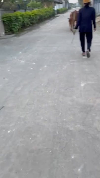 Đất thổ cư Xuân Sơn, Đồng Xuân 458m² giá 2.5 tỷ - Đầu tư sinh lời hấp dẫn!